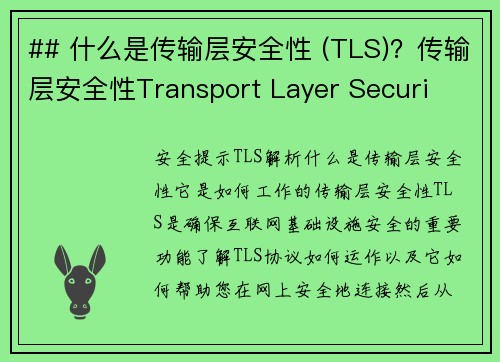 ## 什么是传输层安全性 (TLS)?传输层安全性Transport Layer Securi