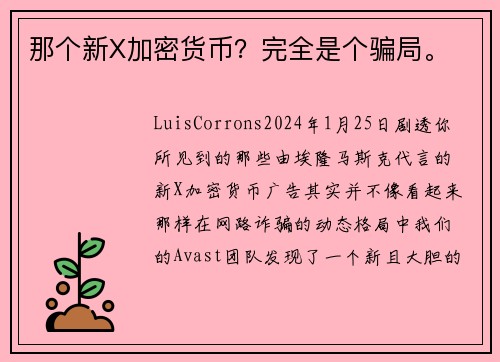 那个新X加密货币？完全是个骗局。